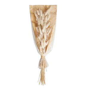 Preserved Lagrus Grass Bundle